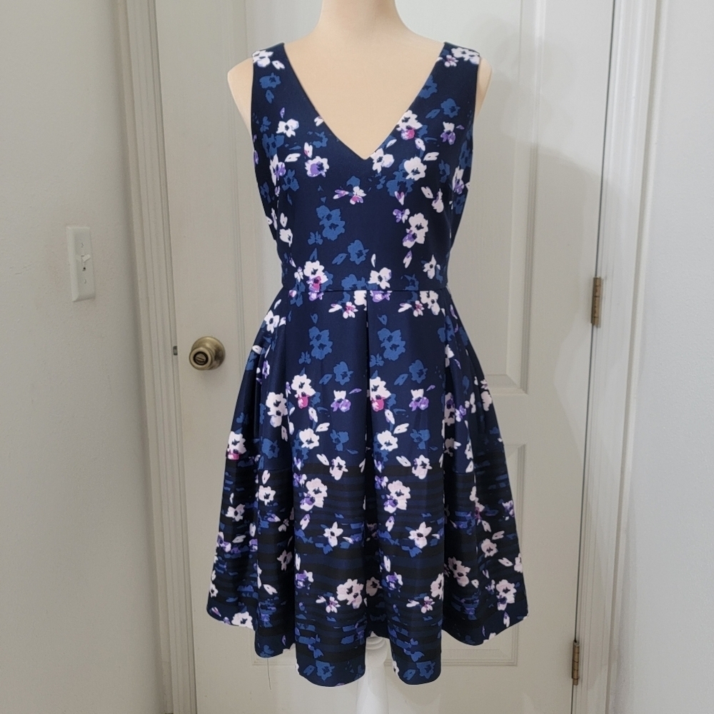 Taylor Size 6 Blue White Floral and Stripe Fit & Flare Sleeveless Dress